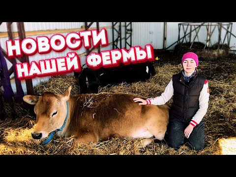 Видео: Весна - Время Продаж и Покупок! | Молодая Ферма