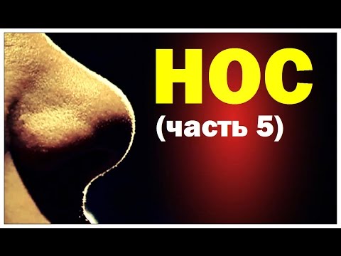 Видео: Галилео. Нос (часть 5)