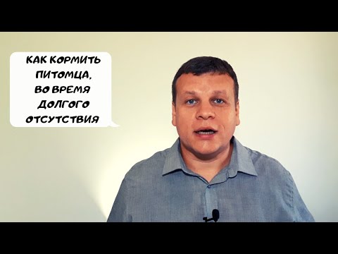 Видео: КАК ЗАПАСТИСЬ И КОРМИТЬ ПИТОМЦА, ВО ВРЕМЯ ДОЛГОГО ОТСУТСТВИЯ?