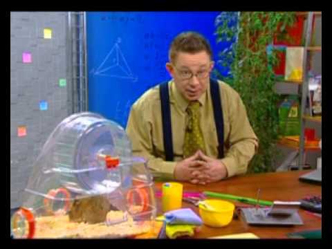 Видео: Математика 42. Первый математик. Фракталы — Академия занимательных наук