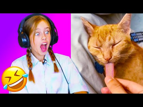 Видео: Попробуй не засмейся челлендж! Реакция на смешное видео