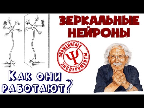 Видео: Зеркальные нейроны | Как они работают? | Как на нас влияет окружение?