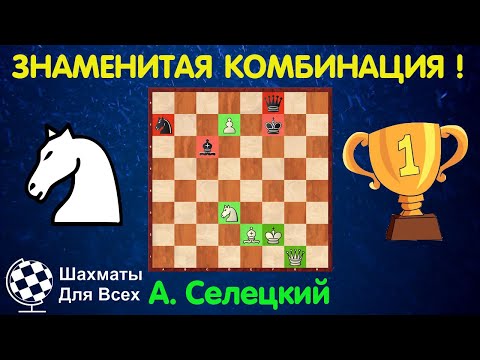 Видео: Шахматы ЗНАМЕНИТЫЙ ЭТЮД! КРАСИВЫЙ МАТ! Александр Селецкий