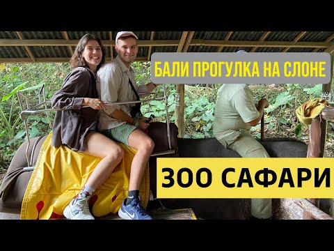 Видео: ЗООПАРК САФАРИ НА БАЛИ КАК У ПТУШКИНА! ОЖИДАНИЕ И РЕАЛЬНОСТЬ. ЧТО ИЗМЕНИЛОСЬ? #бали #путешествия