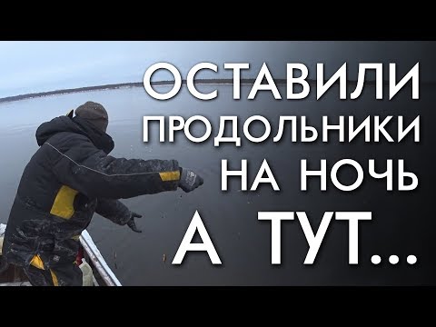 Видео: ОСТАВИЛИ ПРОДОЛЬНИКИ НА НОЧЬ А ТУТ... / ТРУДОВОЙ НАЛИМ
