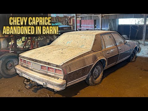 Видео: Первая стирка за 18 лет: находка Caprice Classic Barn! | Реставрация детейлинга автомобилей