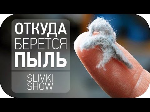 Видео: Откуда берется пыль? [SLIVKI SHOW]