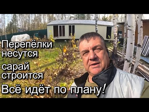 Видео: Одним Днем