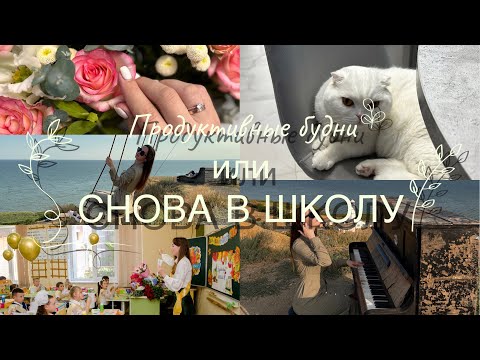 Видео: День из жизни учителя 🫶🏻✨/ Практика с психологом ❤️‍🔥//Немного домашнего уюта 🥛🍪🧸