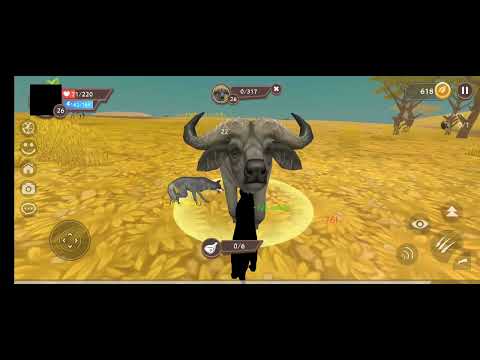 Видео: 24 октября 2025 г.