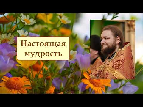 Видео: НАСТОЯЩАЯ МУДРОСТЬ. Отец Савва (Мажуко).