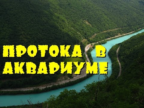 Видео: Протока. Домашний аквариум доступен для всех.