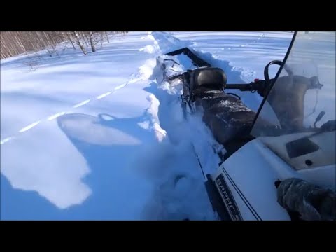 Видео: Тайга-Варяг 550 в пухляке,  как  выехать из глубокого снега?
