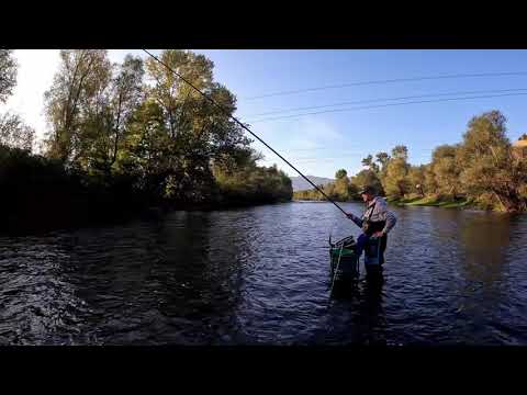 Видео: Риболов с директен телескоп и болонеза на река Струма 4 Крачун и Малчо в действие