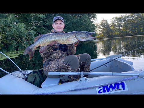 Видео: Как ловить щуку осенью на BigBait и RUDRA 🎣🐟 — мощные поклёвки с лодки! 🚤🍂