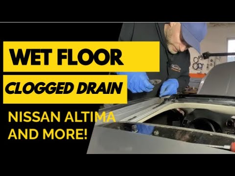 Видео: Nissan Altima — засорён слив люка
