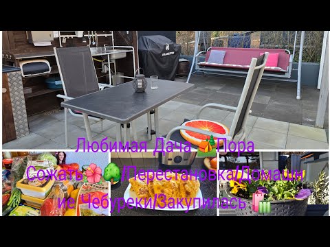 Видео: Vlog 🇩🇪 Наша Дача в Германии 🏕 КАЖДЫЙ Год Сажают эти Цветы 🌼🌺Посадка Хурмы / Заупки/Чебуреки Сочные