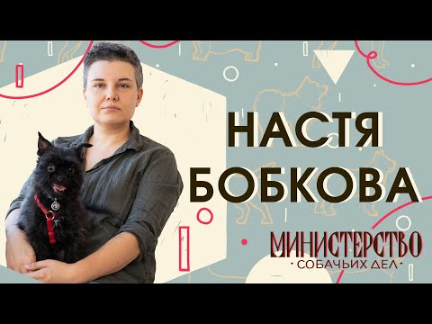 Видео: Настя Бобкова: приемные собаки, переустройство и воспитание