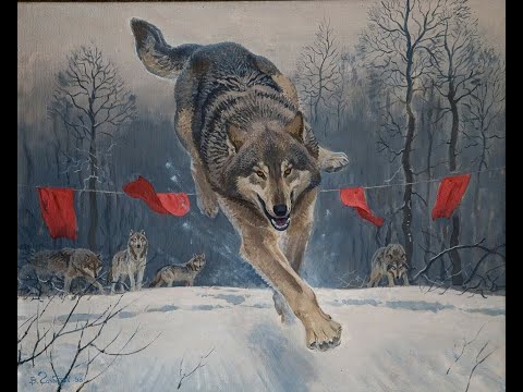 Видео: ОХОТА НА ВОЛКА! ТАК БЫВАЕТ!
