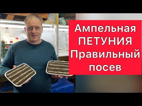 Видео: Ампельная петуния. Правильный посев