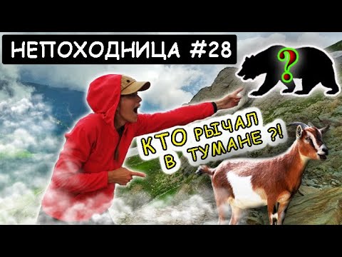 Видео: НЕ ОЖИДАЛА ТАКОГО В ГОРАХ. ВЕСЬ ПОХОД БЕГУ БЕГОМ. НЕПОХОДНИЦА.