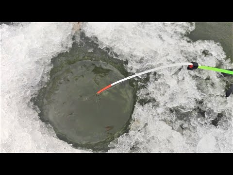 Видео: КРУПНЫЙ КАРАСЬ берёт!! ЕЛЕ УСПЕВАЮ на две удочки - зимняя рыбалка