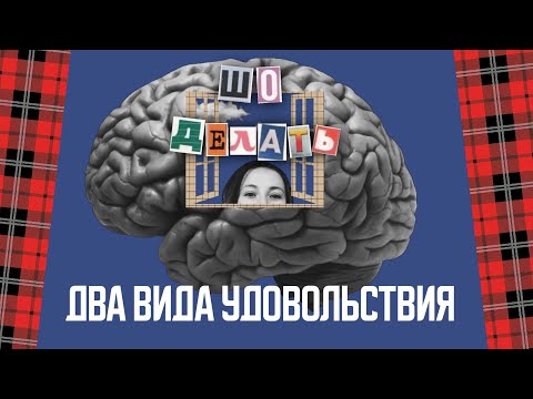 Видео: Два вида удовольствия: как держать баланс