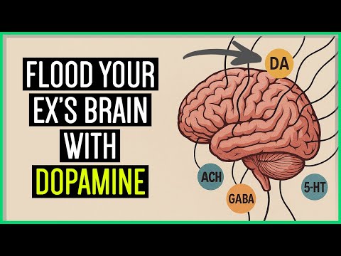 Видео: Наука о дофамине и почему ваш бывший отдалился (и как вернуть его)