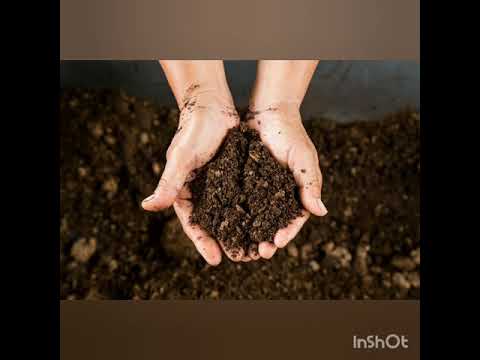 Видео: Торф нима?