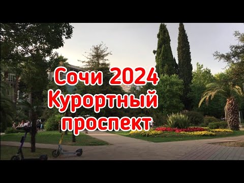 Видео: Сочи 2024. Курортный проспект.