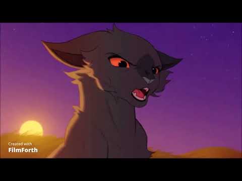 Видео: Коты воители клип Блуд Ватер