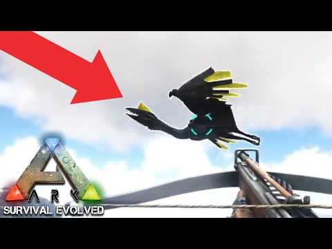 Видео: ОПИТОМИХ НАЙ-ЯКАТА ПТИЦА!