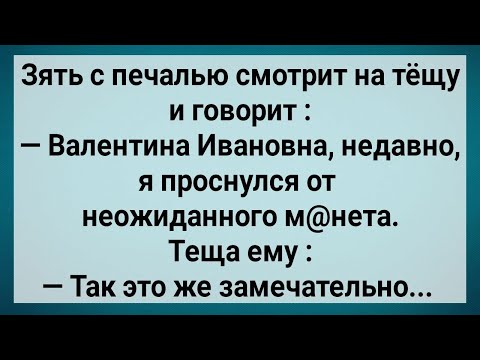 Видео: Как Зять Теще Секреты Рассказывал! Сборник Свежих Анекдотов! Юмор!.
