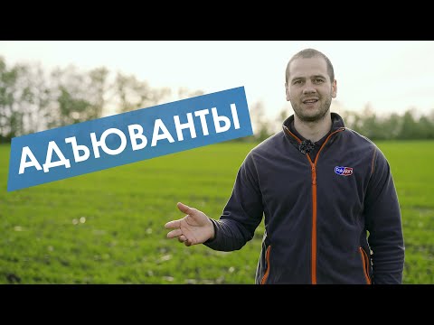 Видео: Адъюванты