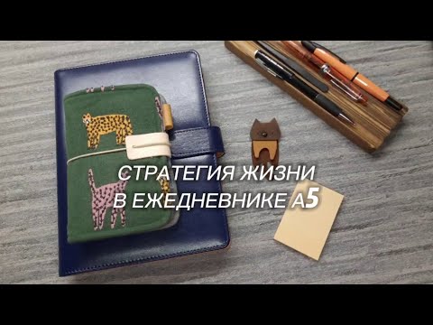 Видео: Стратегия жизни в ежедневнике А5 | KATE`S PLAN