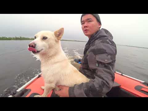 Видео: КУПИЛ СЕБЕ МОТОР MARLIN 5 И ЛОДКУ MISHIMO 315