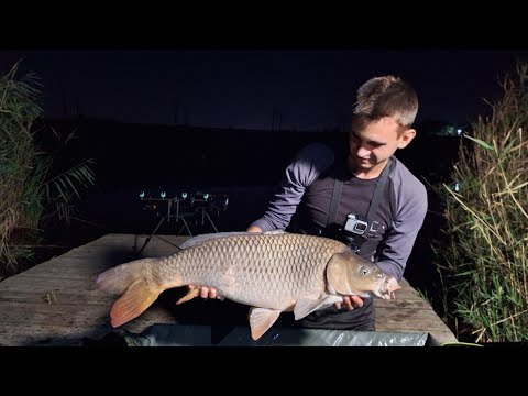 Видео: Шалена риболовля з ночівлею. Ловимо коропів та амурів. Гарний відпочинок на природі з товаришем