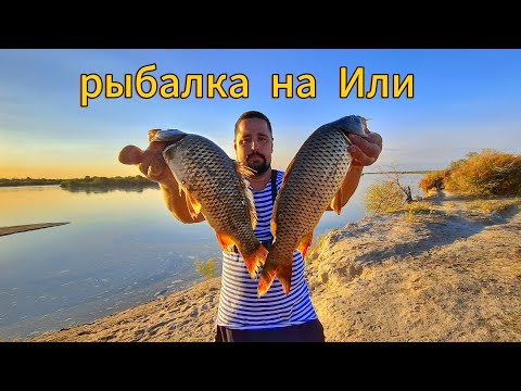 Видео: ЭТО КАТАСТРОФА, Я ТАКОГО ЕЩЕ НЕ ВИДЕЛ, река умирает, рыбалка , плов, сазан, 