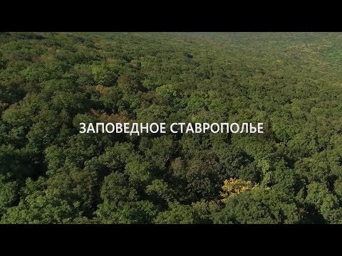 Видео: ЗАПОВЕДНОЕ СТАВРОПОЛЬЕ