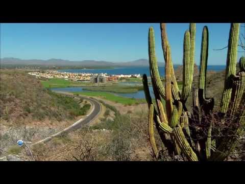 Видео: Зеленый рай. Мексика. Пустыня между двух морей