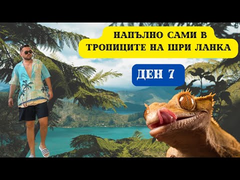 Видео: САМИ В ТРОПИЦИТЕ НА ШРИ ЛАНКА I 60 ДНИ В ШРИ ЛАНКА - ДЕН 7