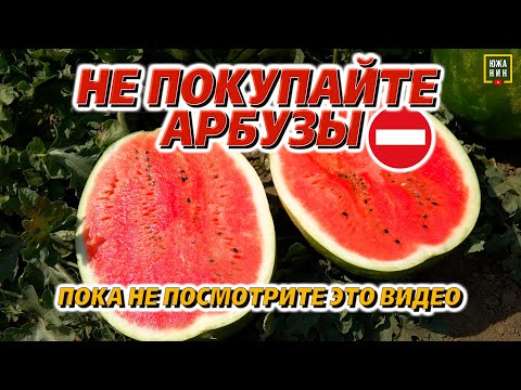 Видео: Зачем они это делают?😱 Вся правда об арбузах