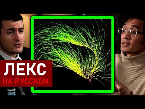 Видео: Удивительно сложная задача - гипотеза Коллатца | Теренс Тао и Лекс Фридман