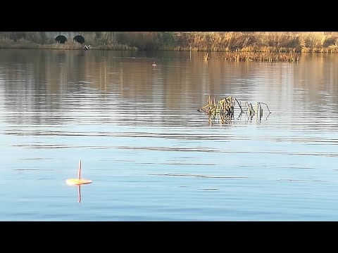 Видео: ЛОВЛЯ ЩУКИ 🦈 НА  КРУЖКИ ОСЕНЬЮ В КОРЯЖНИКЕ.