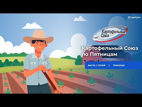 Видео: Картофельный Союз по Пятницам. 53 выпуск | Микопро