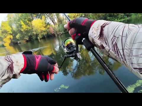 Видео: Хубава щукичка и огромен кефал, от Марица Пловдив 🤟🍀