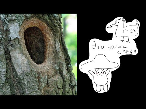 Видео: Меняльник - что это? | Меняльники в Иркутске