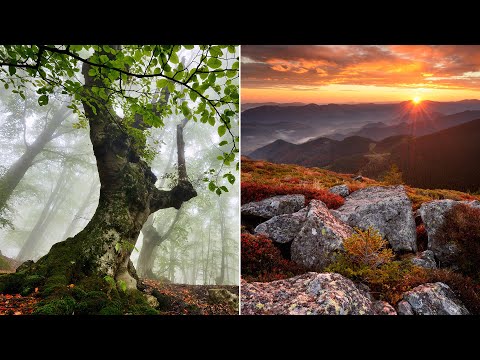 Видео: Почему КАЖДЫЙ фотограф ДОЛЖЕН использовать ЛАЙТРУМ? | LIGHTROOM или PHOTOSHOP?