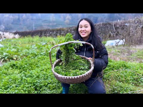 Видео: В первый день в школе мама выставляет себя дурой, а вопросы дочери смущают