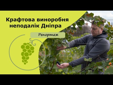 Видео: URSA.MEDIA на крафтовій виноробні